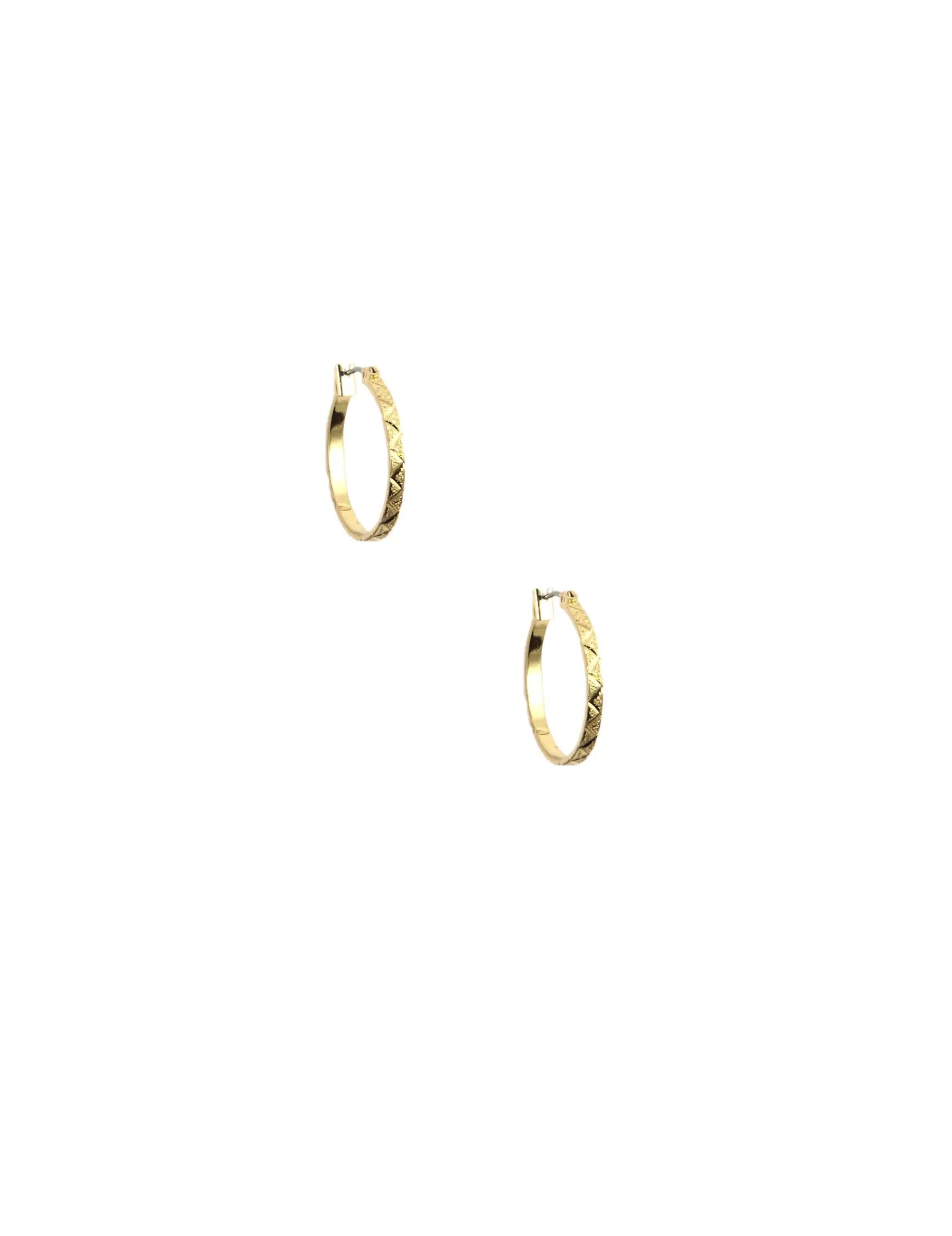 Store Anne Klein Small Leaf Hoop Earrings